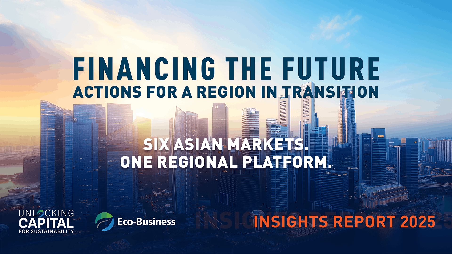 Unlocking capital for sustainability: Insights Report 2025