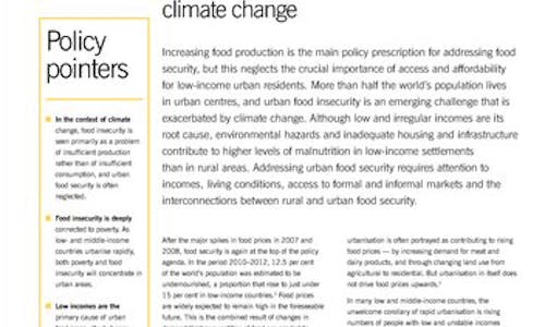 Report warns of ways climate change threatens food security of urban poor
