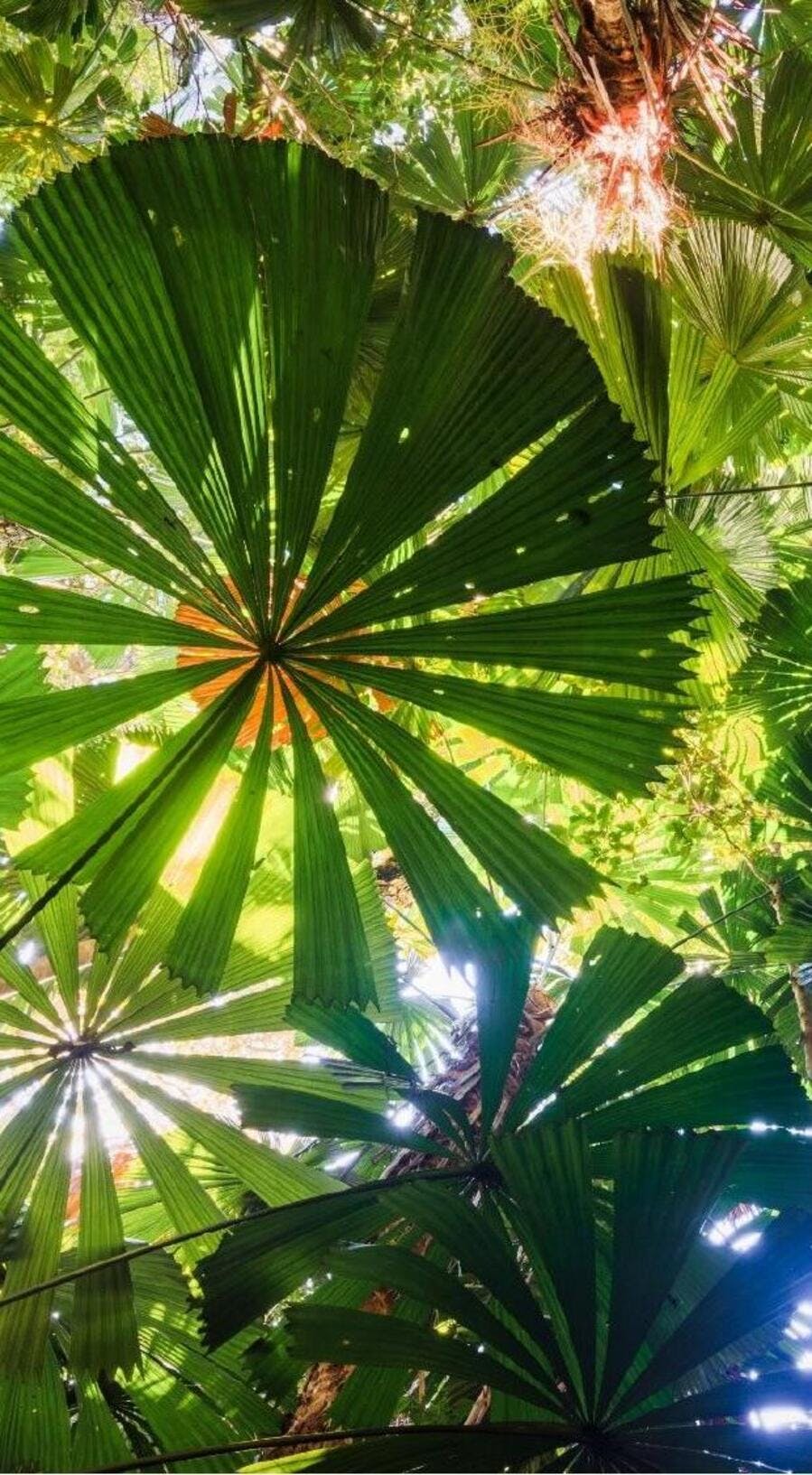 Carbon accounting's missing standard