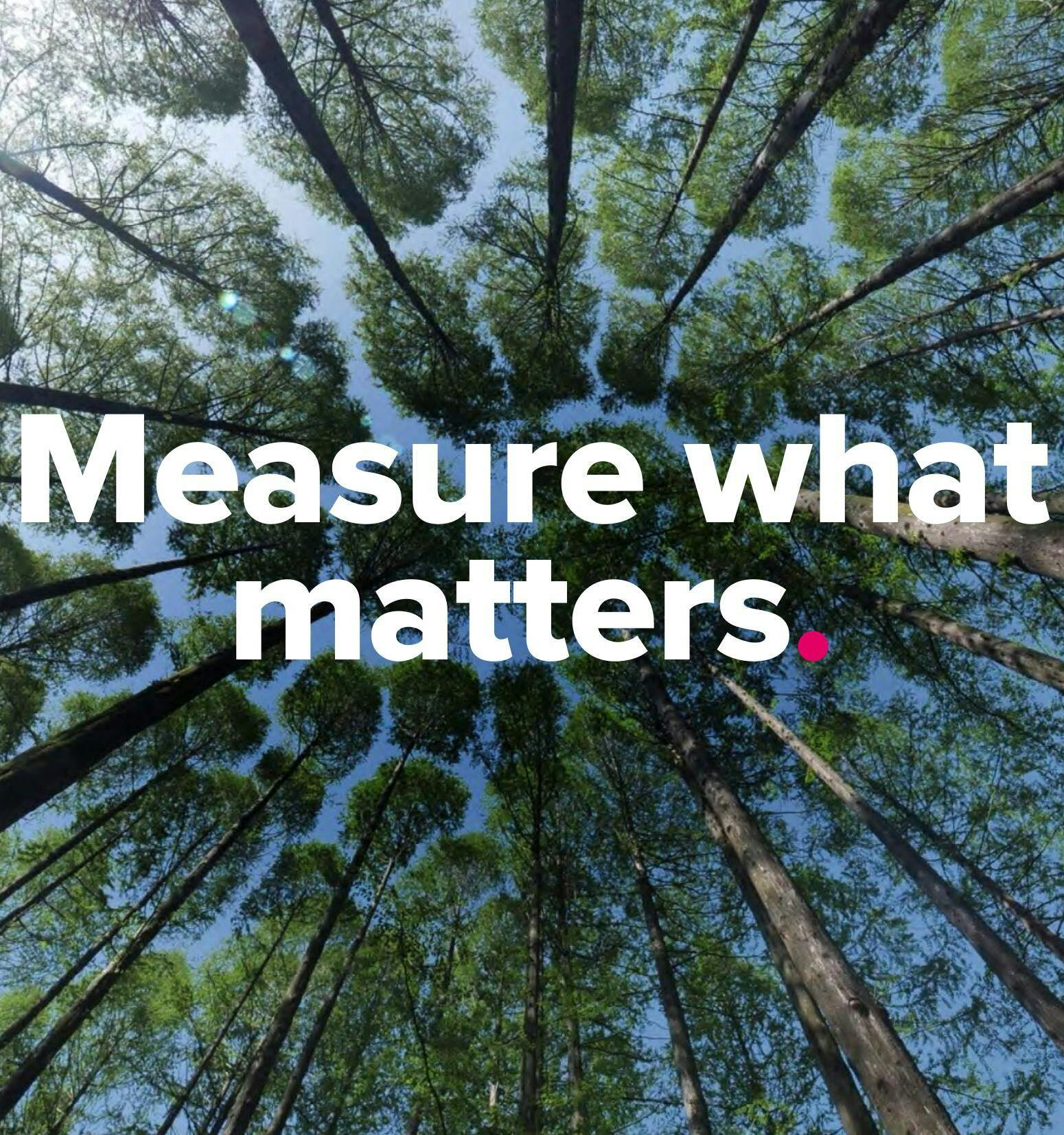 Measuring what matters: Practical sustainability reporting for SMEs