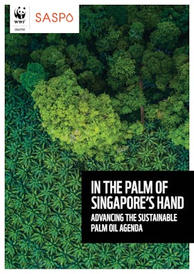 In the palm of Singapore's hand - advancing the sustainable palm oil agenda