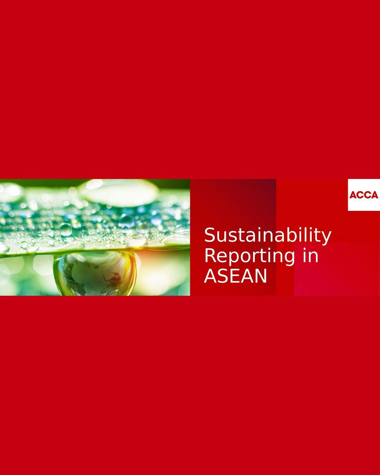 Asean's sustainability reporting rules: from intent to rollout