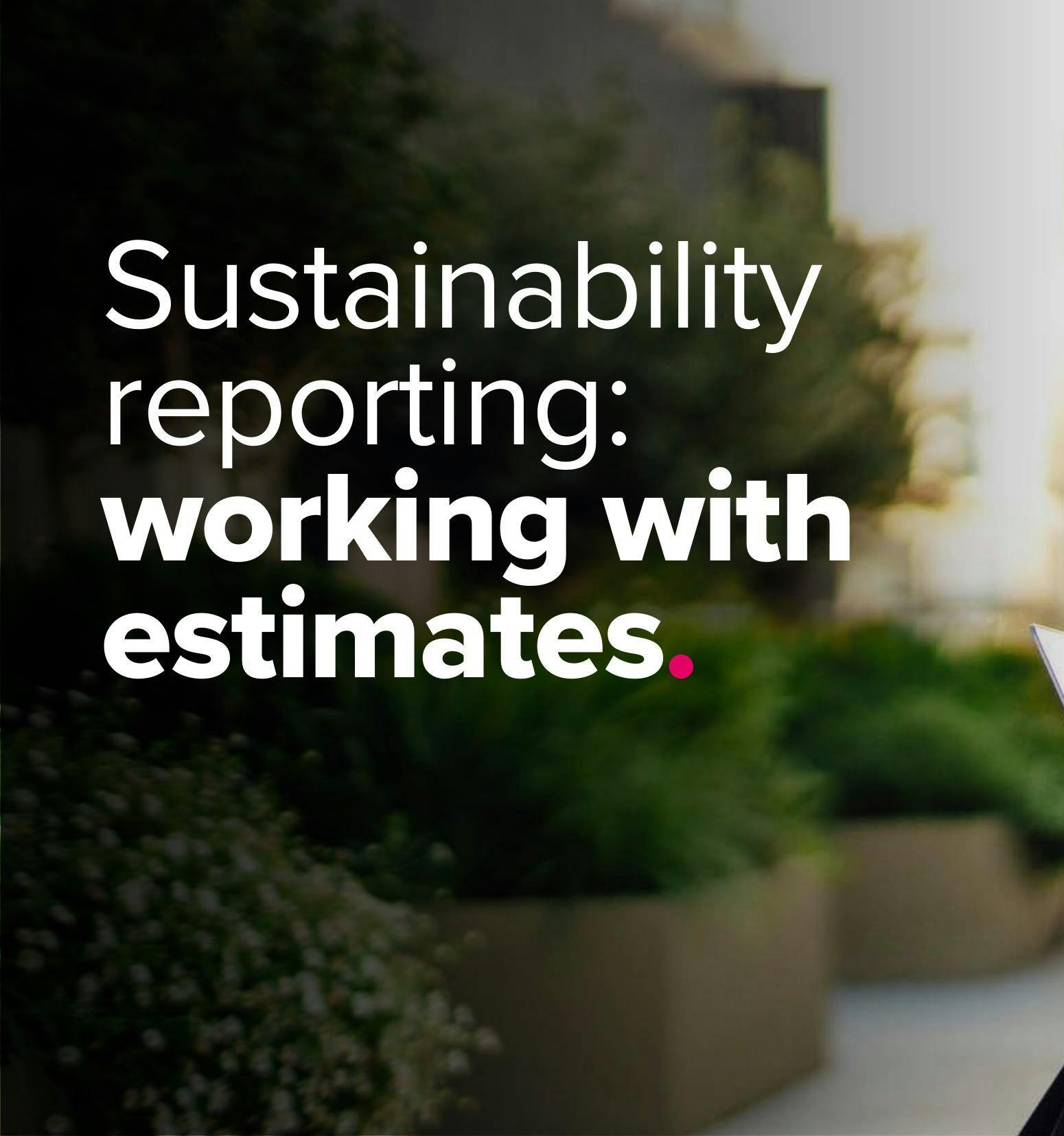 Sustainability reporting: filling the data gaps