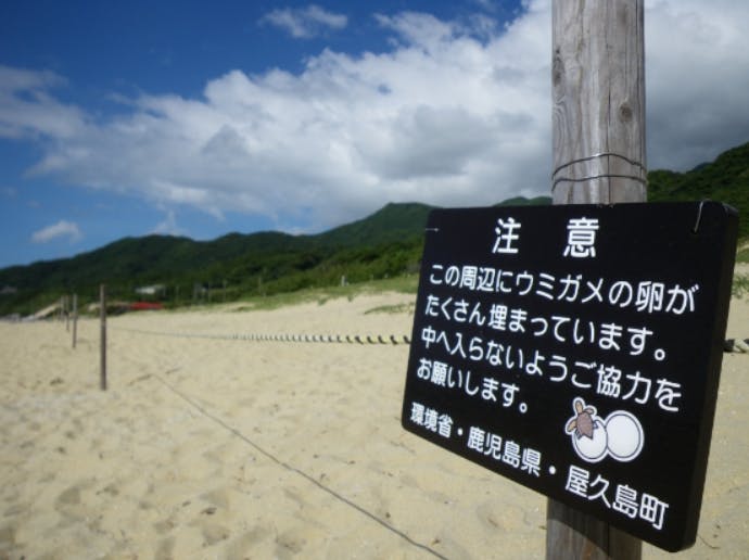 A warning sign on a Yakushima beach of Japan urges visitors to keep out