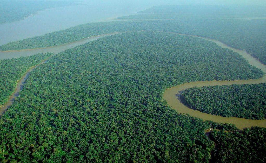 Solimões River in the Amazon Forest in Brazil