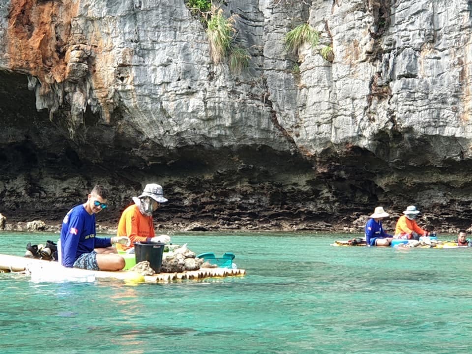 Work to coral restore reefs at Maya Bay. Image: Ocean Quest Thailand