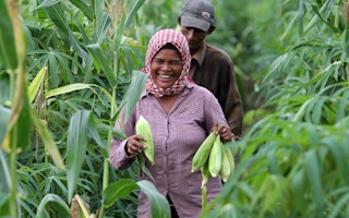 Corn_Farmer_Woman_Cambodia