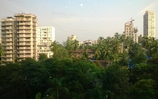 mumbai trees