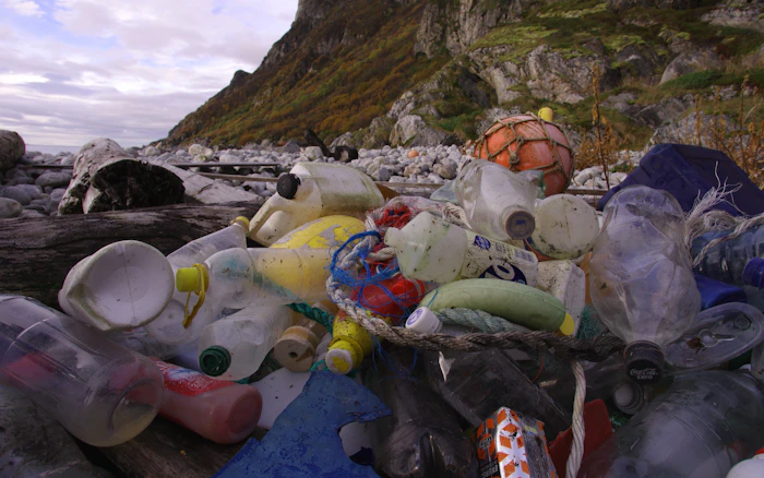 Less Polluting How can the world use less plastic and reduce pollution? | News | Eco ...