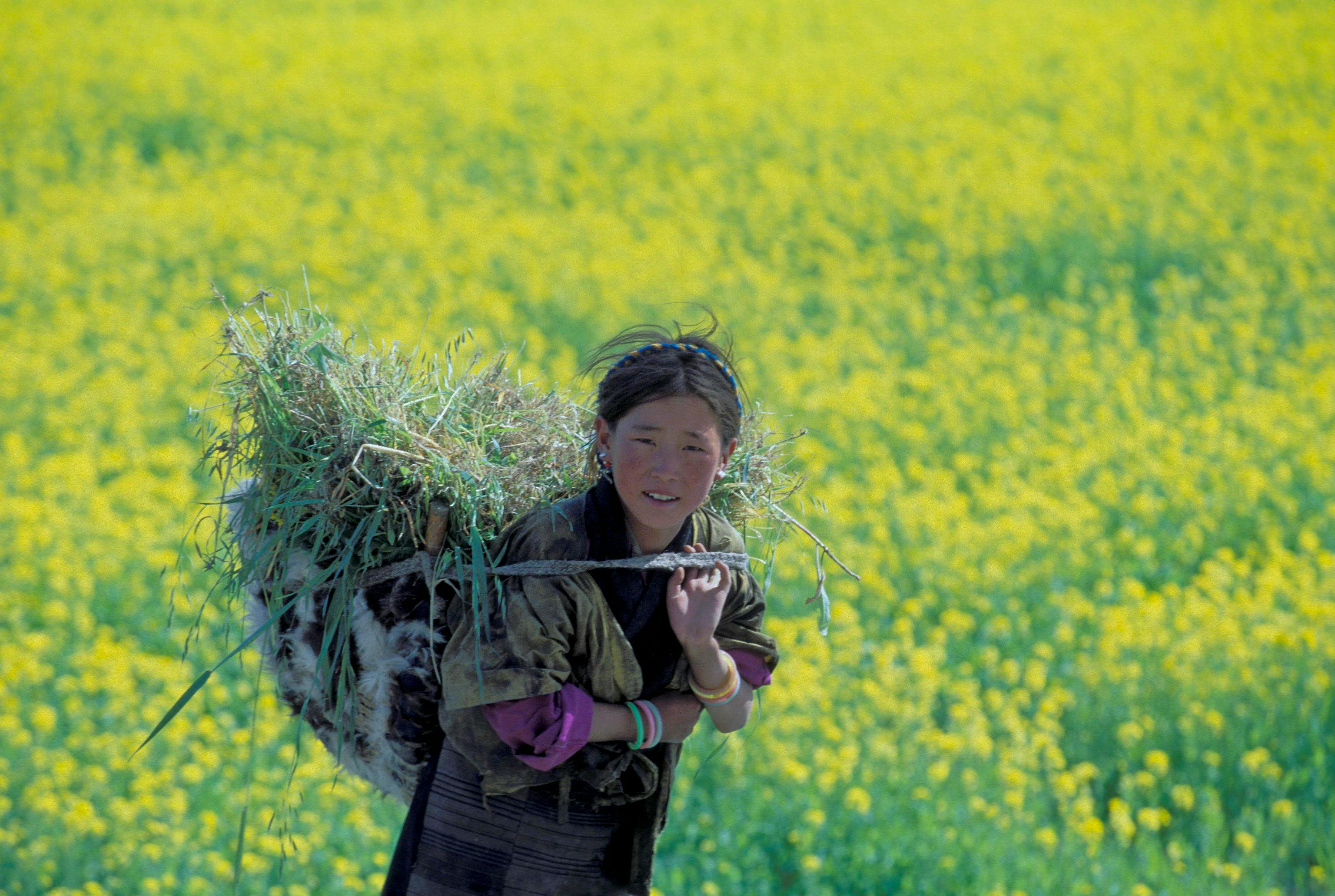 Woman_Basket_China