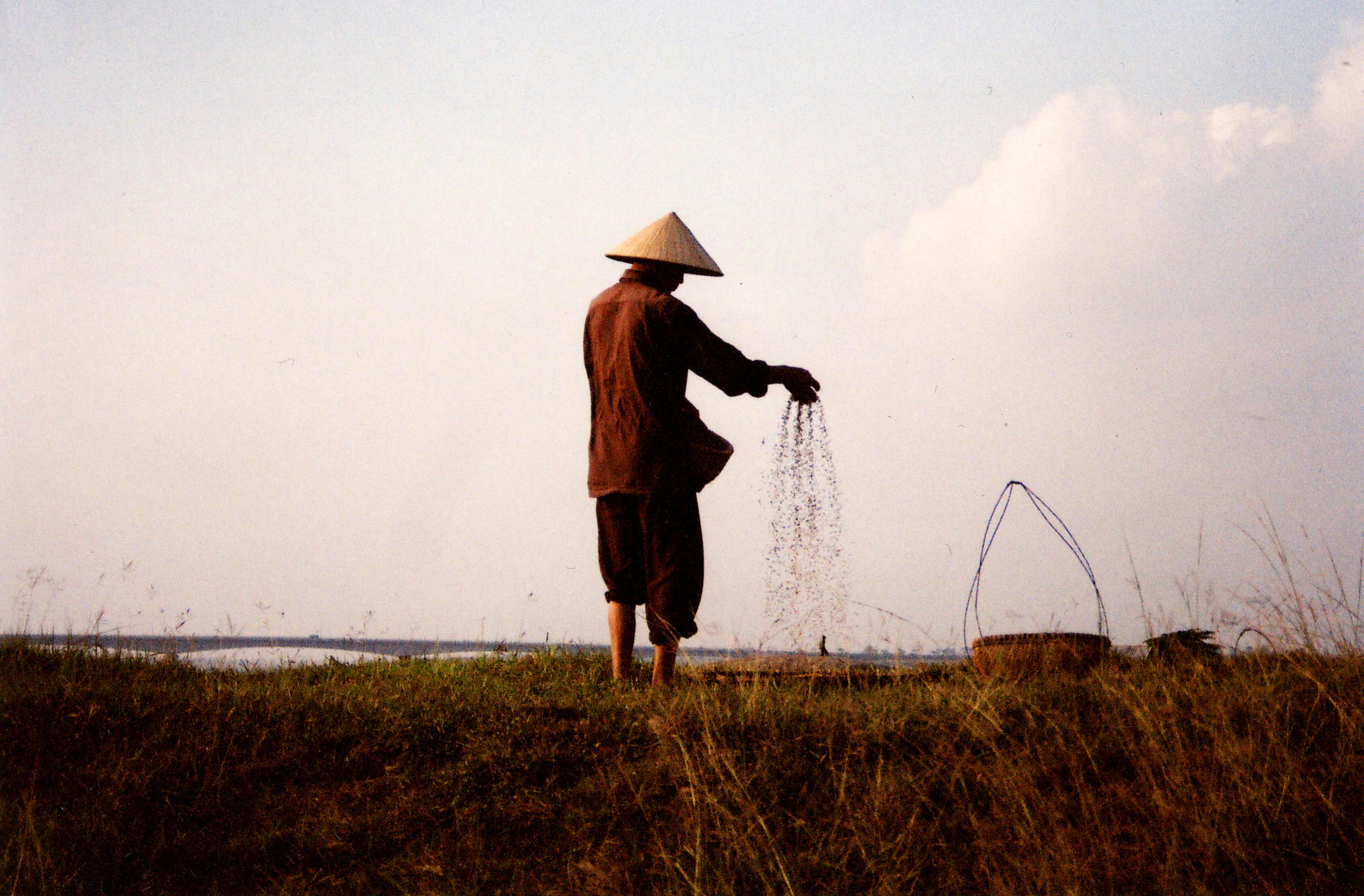 Seeds_Farmer_Vietnam