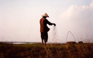 Seeds_Farmer_Vietnam