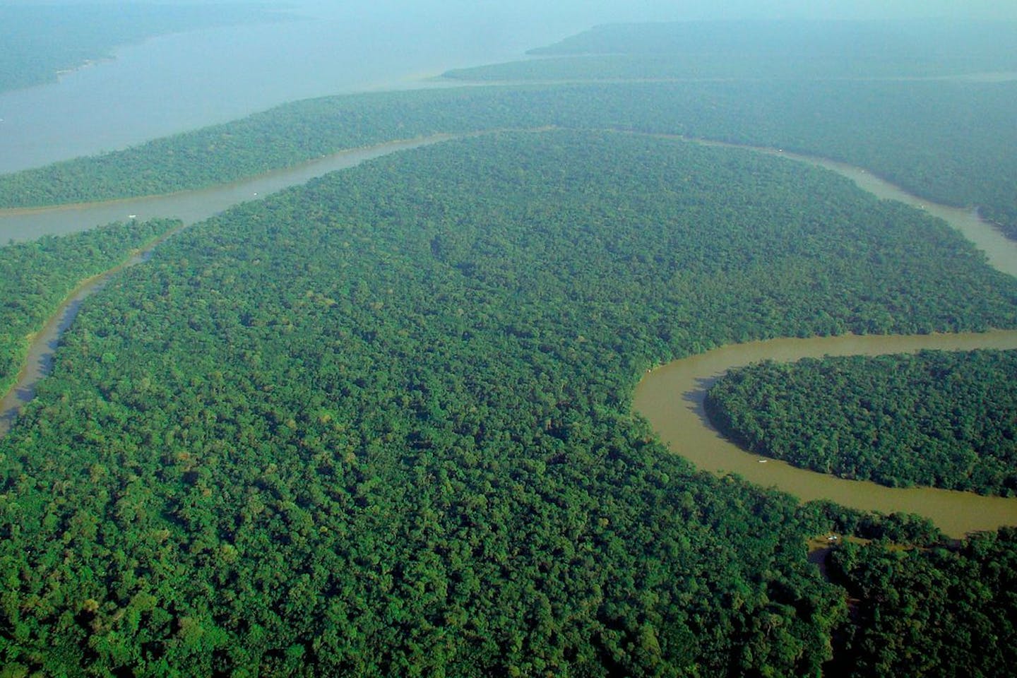 aerial view of amazon rainforest