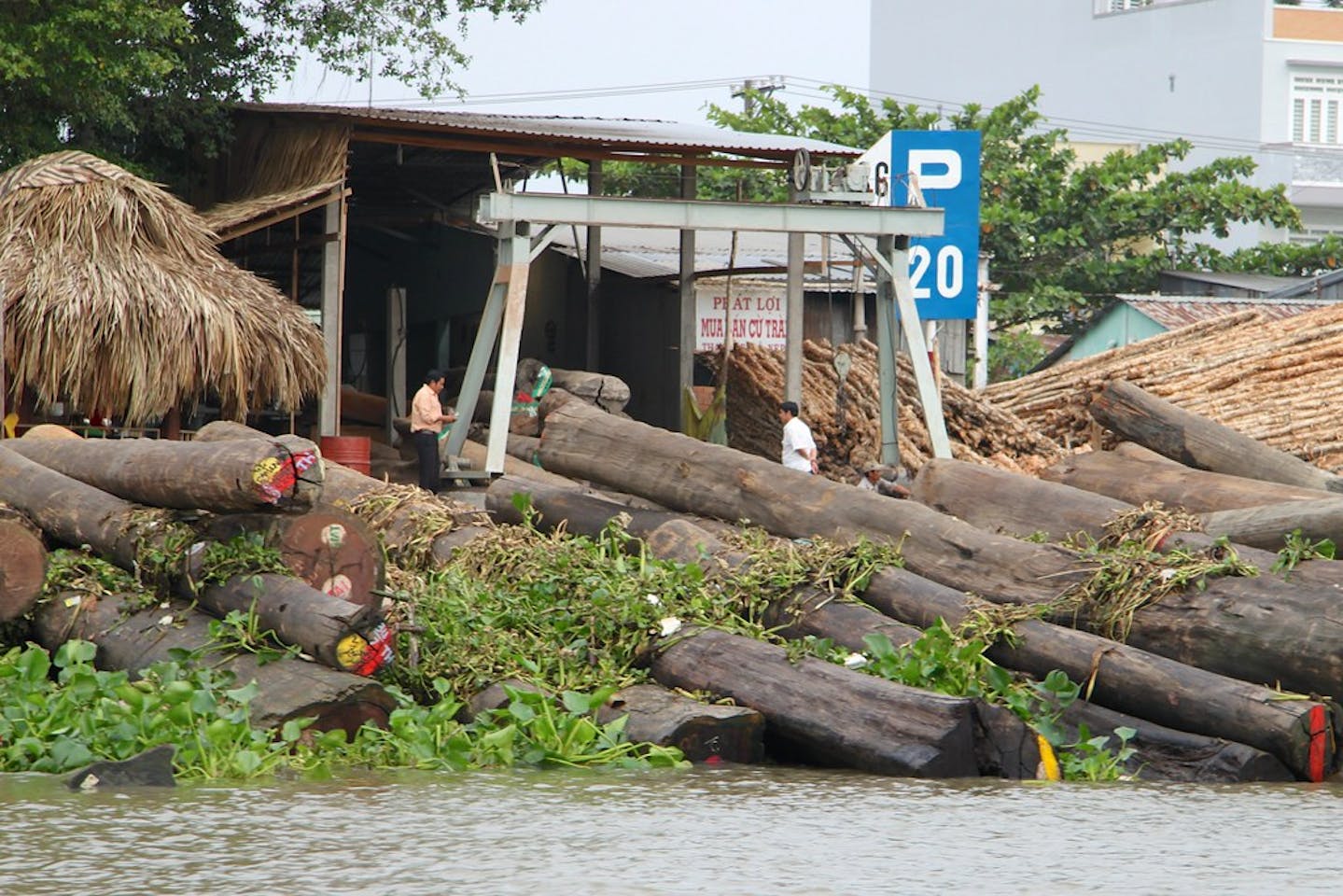 Vietnam’s timber sector takes a hit from coronavirus outbreak | News