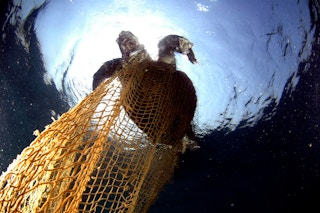 News - How many types of fishing nets are there?