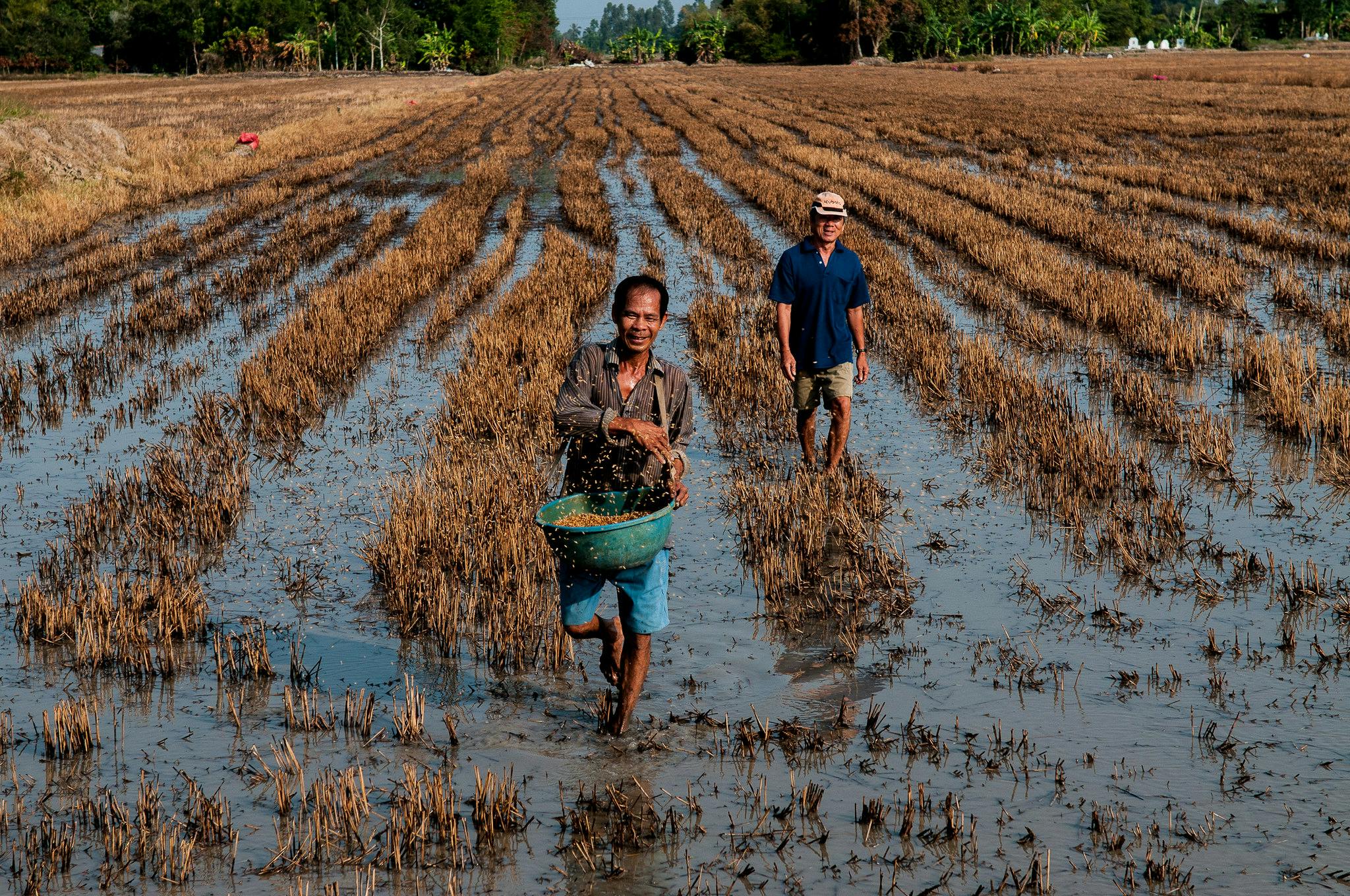 Mekong_Farmer_Vietnam
