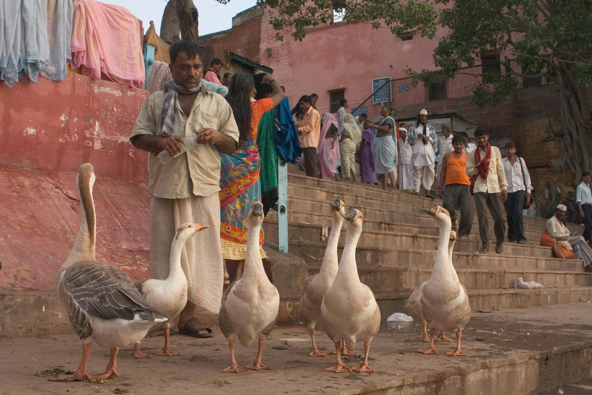 Monsoon_Heatwaves_India_Varanasi_River