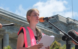 Youth Activist Speech