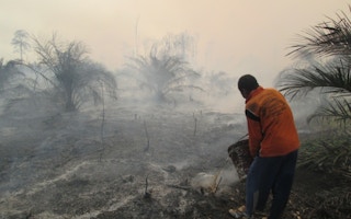 Greenpeace report, forest fires, Indonesia