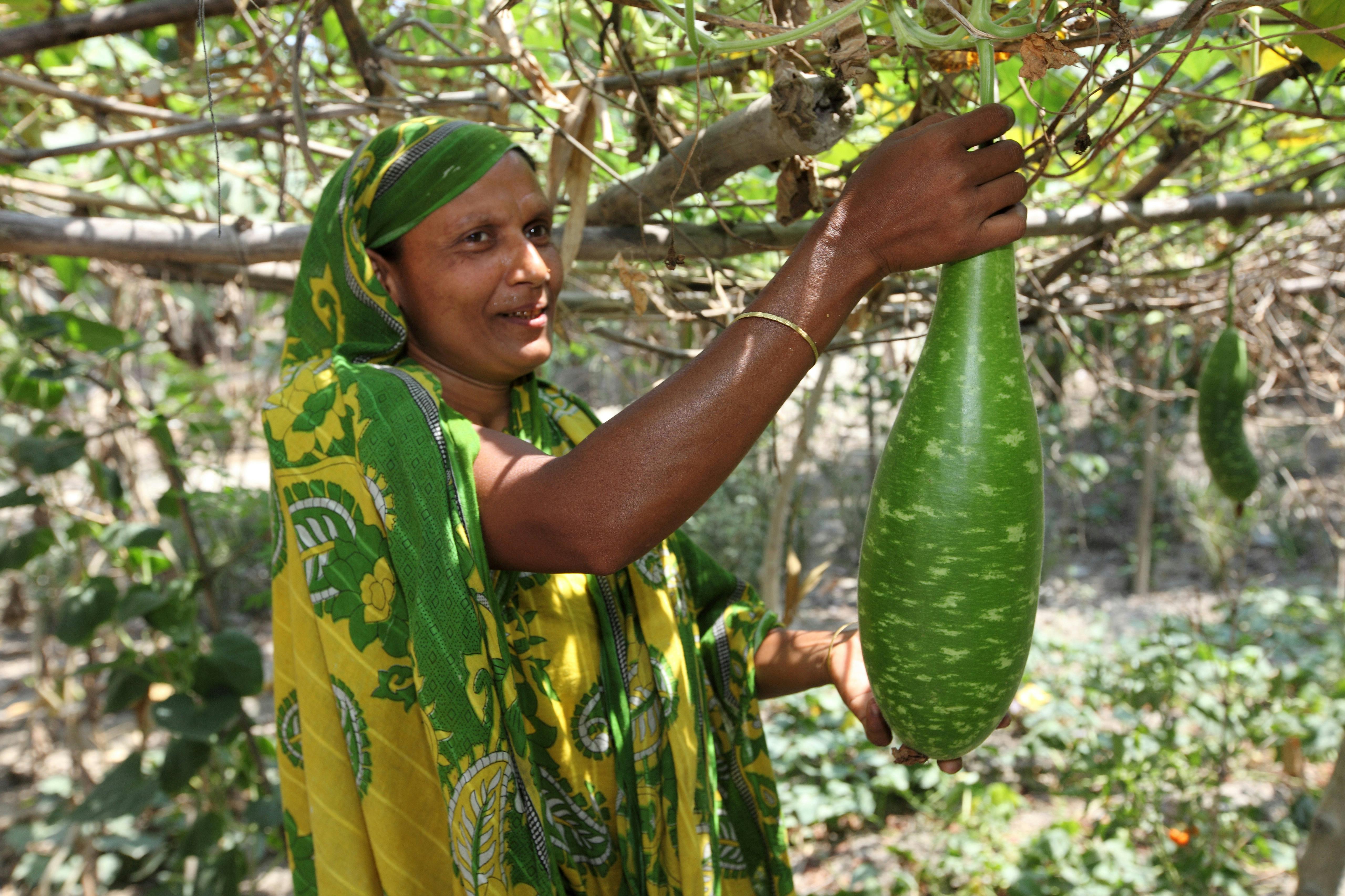 Farmer_Bangladesh_Soil_Salination