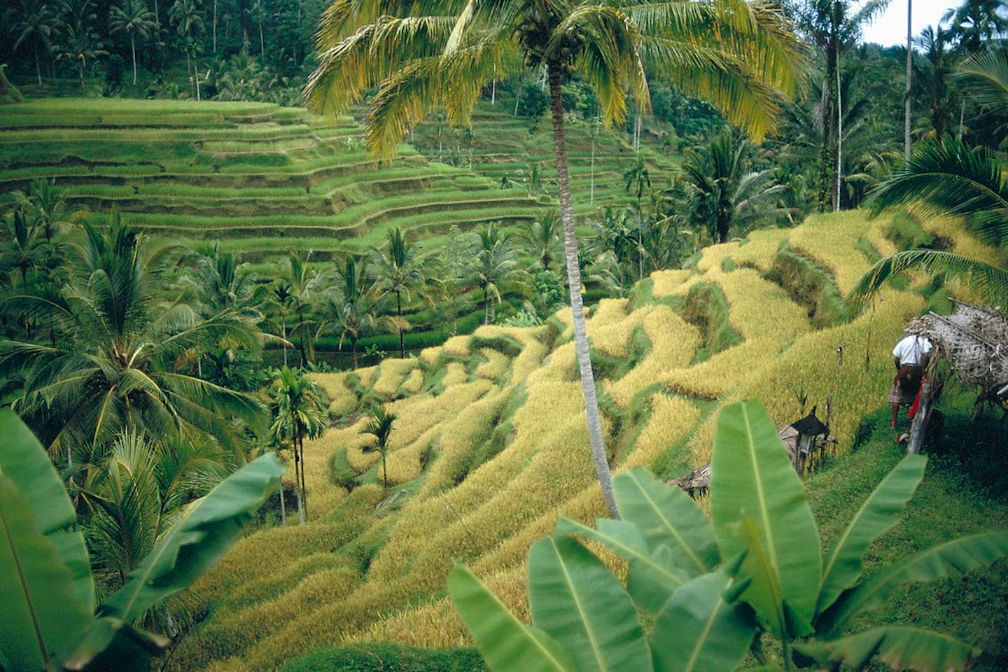 Sulawesi Selatan, Indonesia