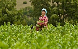 Farmer_Woman_Macedonia