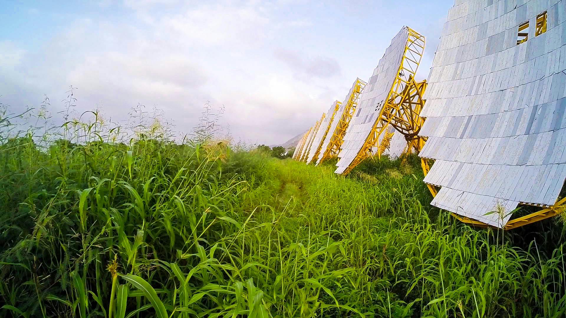 One_Solar_Field_India