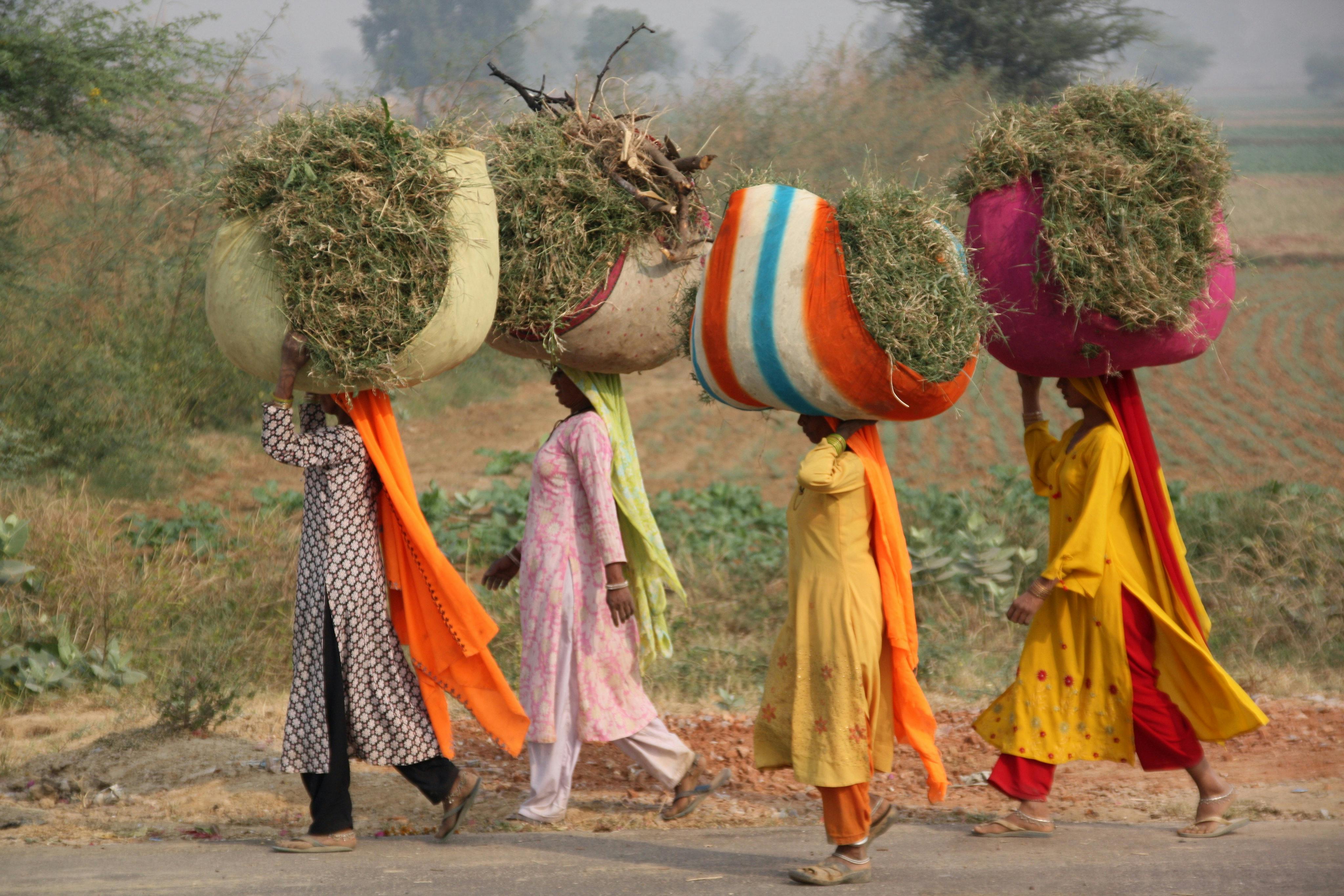 Women_Health_Farmer_India
