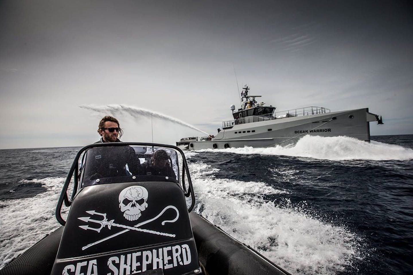 Can hardline activists Sea Shepherd have an impact in Southeast Asia?, News, Eco-Business