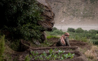 Woman_Farmer_Himalayas_India