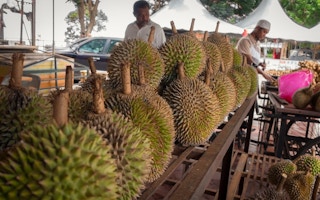 durian malaysia