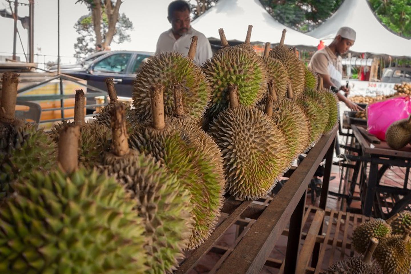 durian malaysia