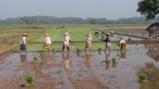 Farmers Boyolali District in Indonesia