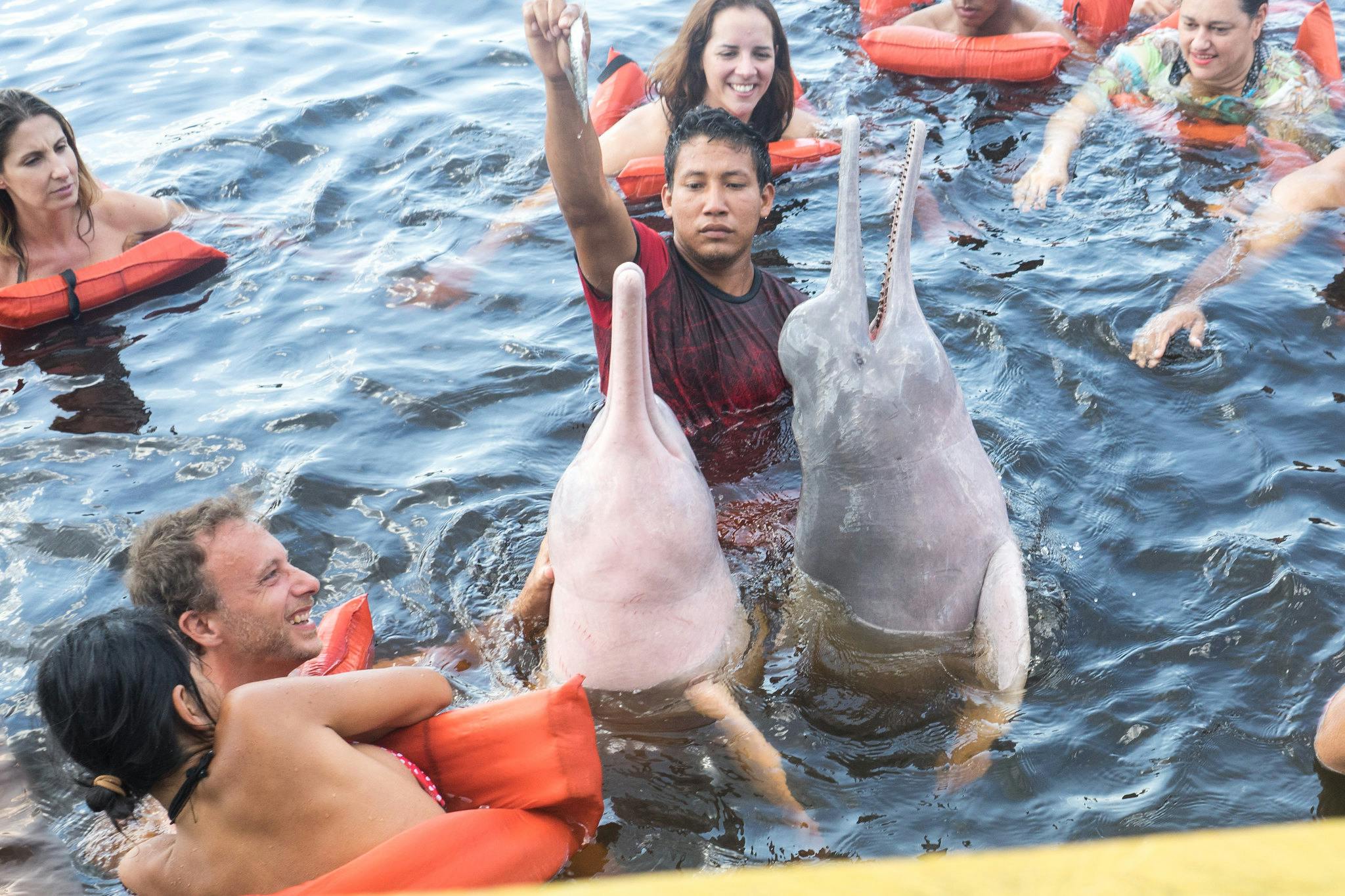 Pink_River_Dolphin_Amazon