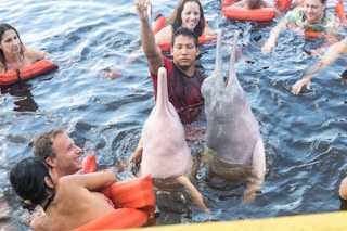 Pink_River_Dolphin_Amazon