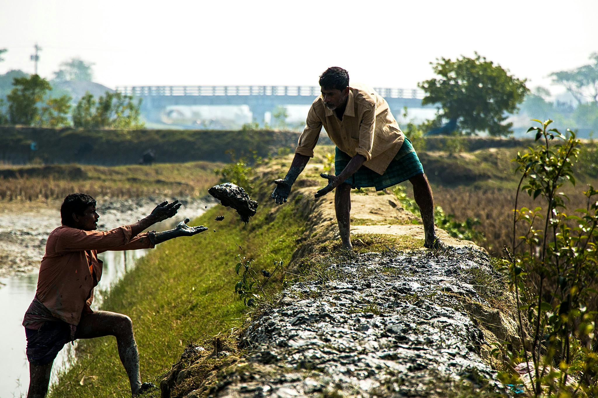 Farmer_Dike_Bangladesh