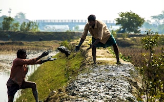 Farmer_Dike_Bangladesh