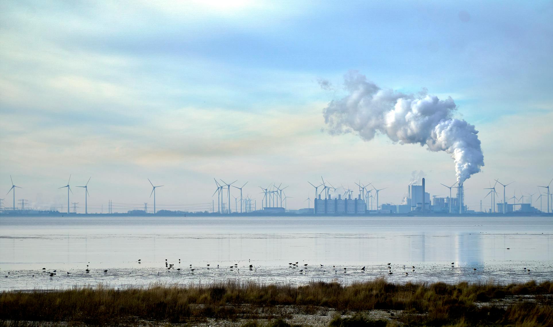 Power_Plant_Netherlands