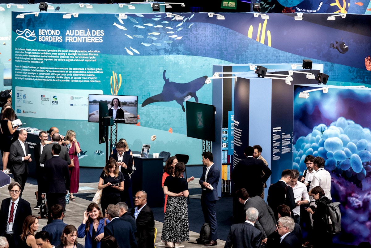 Is the tide turning for ocean protection? UN conference ends with record attendance and momentum for high seas treaty