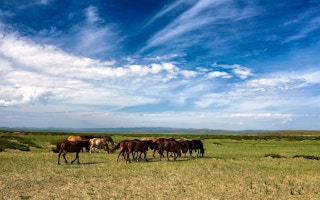 Mongolia’s grasslands