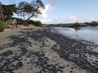 A beach covered in oily clumps in Bintan, Indonesia.