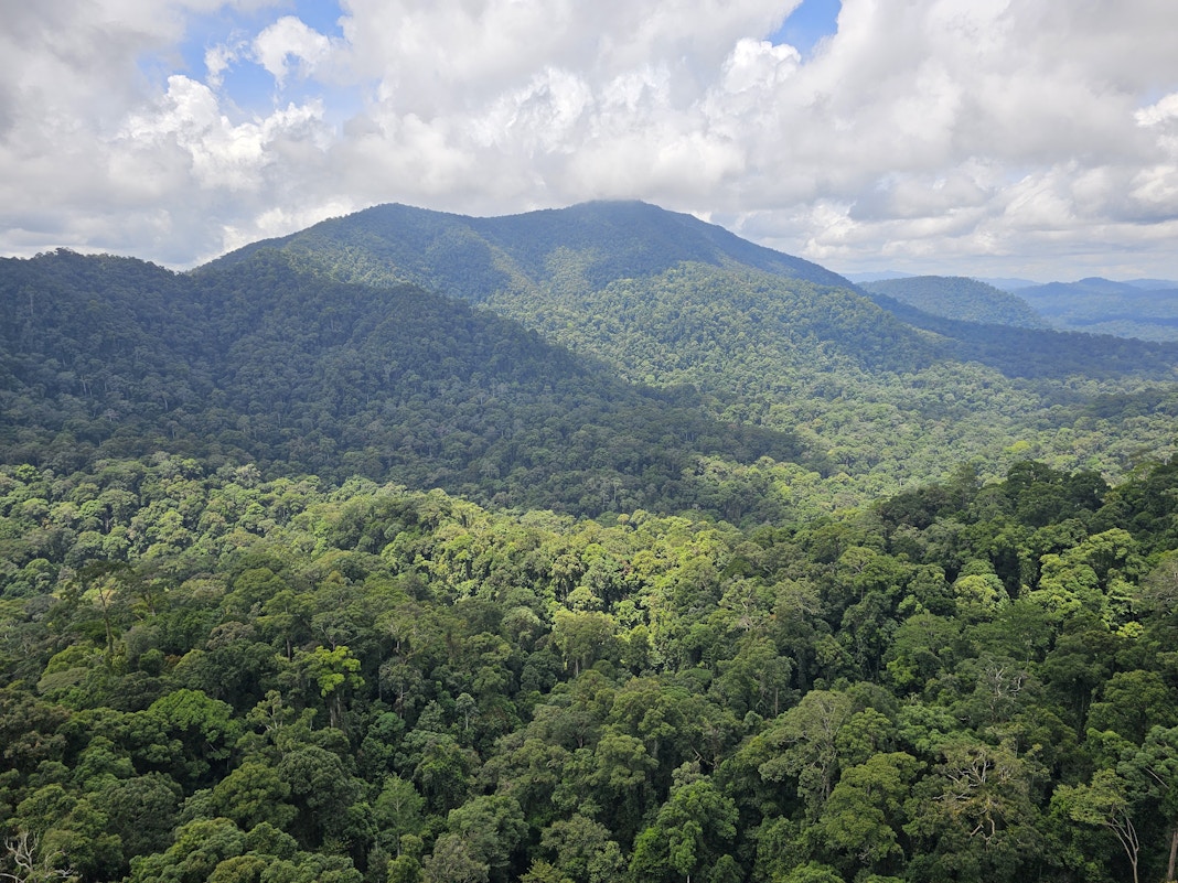 马来西亚的碳信用难题：州政府是释放其潜力的关键意见 | 生态商业
