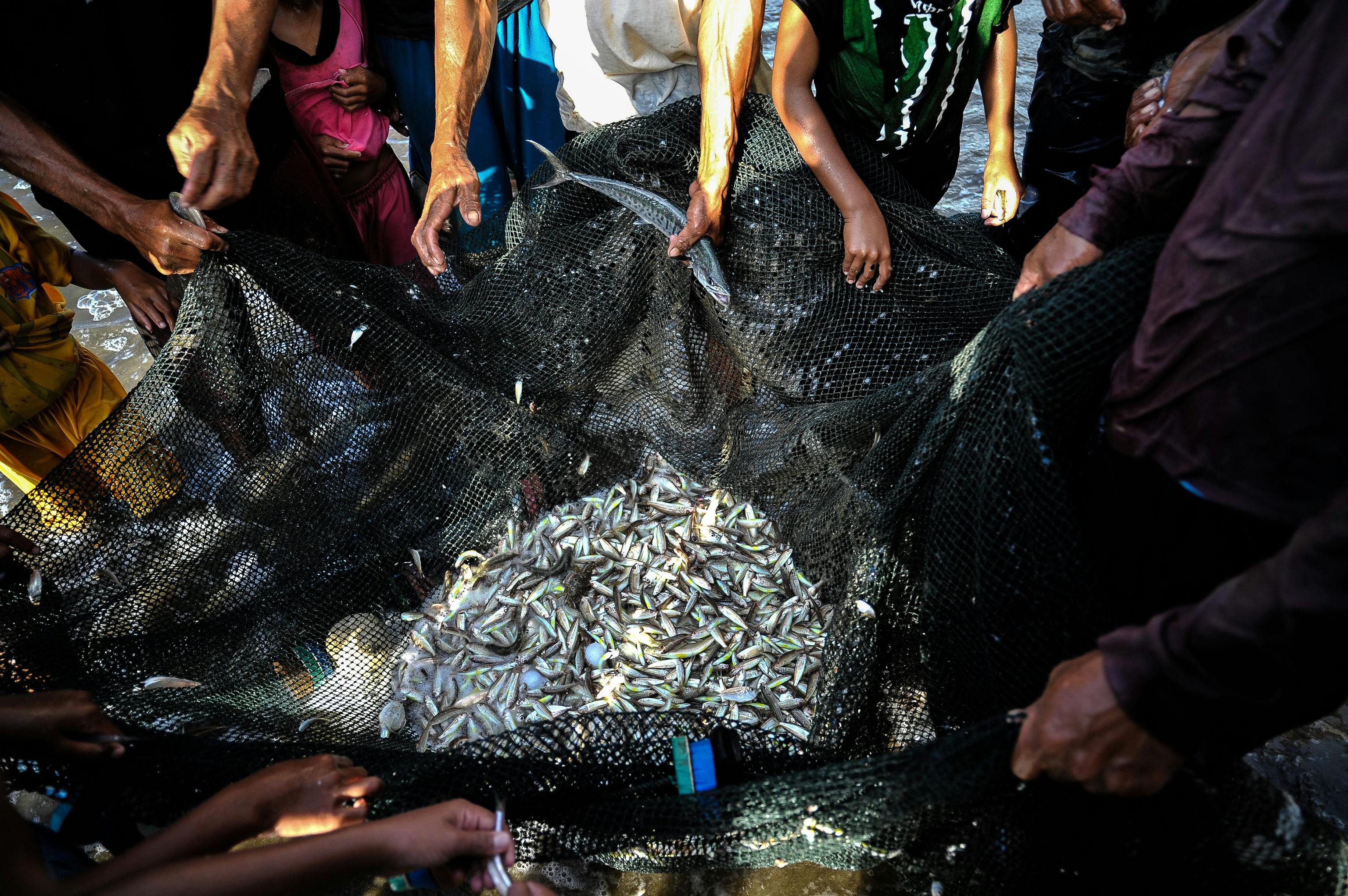 Small_Scale_Fishing_Indonesia