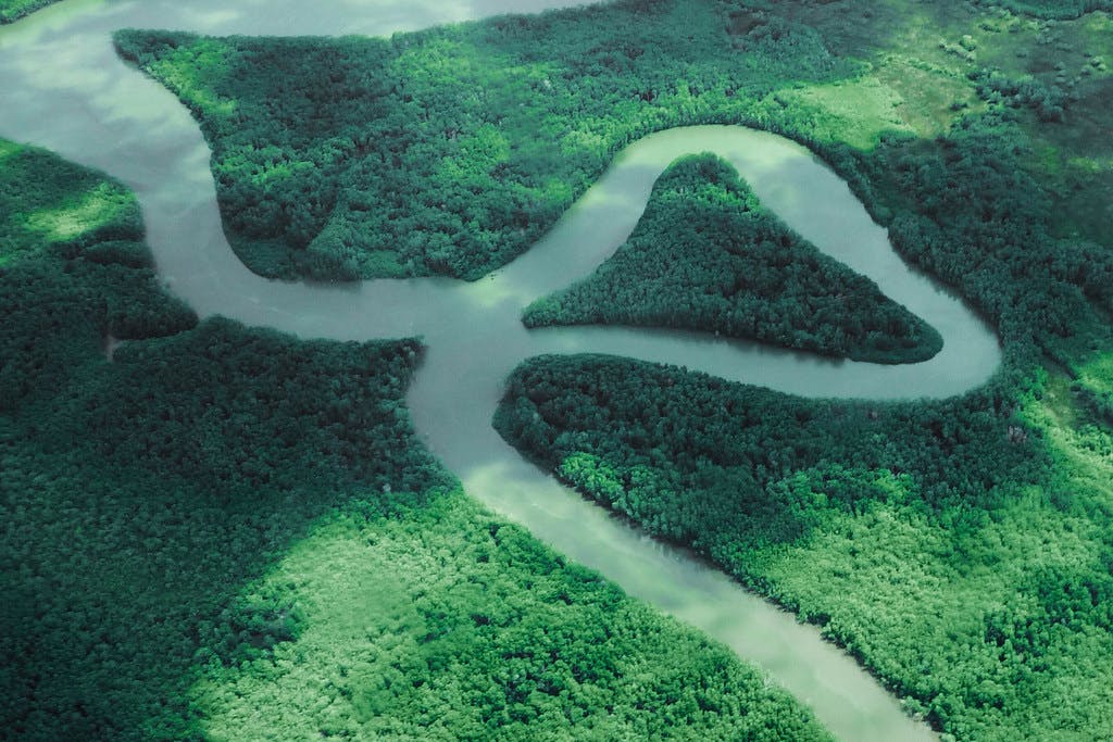 A rainforest in Costa Rica