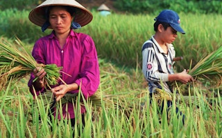 Sustainable_Farming_Vietnam