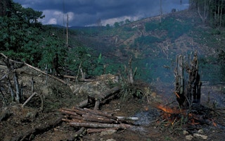 Deforestation in West Java, Indonesia3