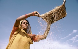 Woman_Farmer_Grain_India