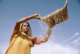 Woman_Farmer_Grain_India