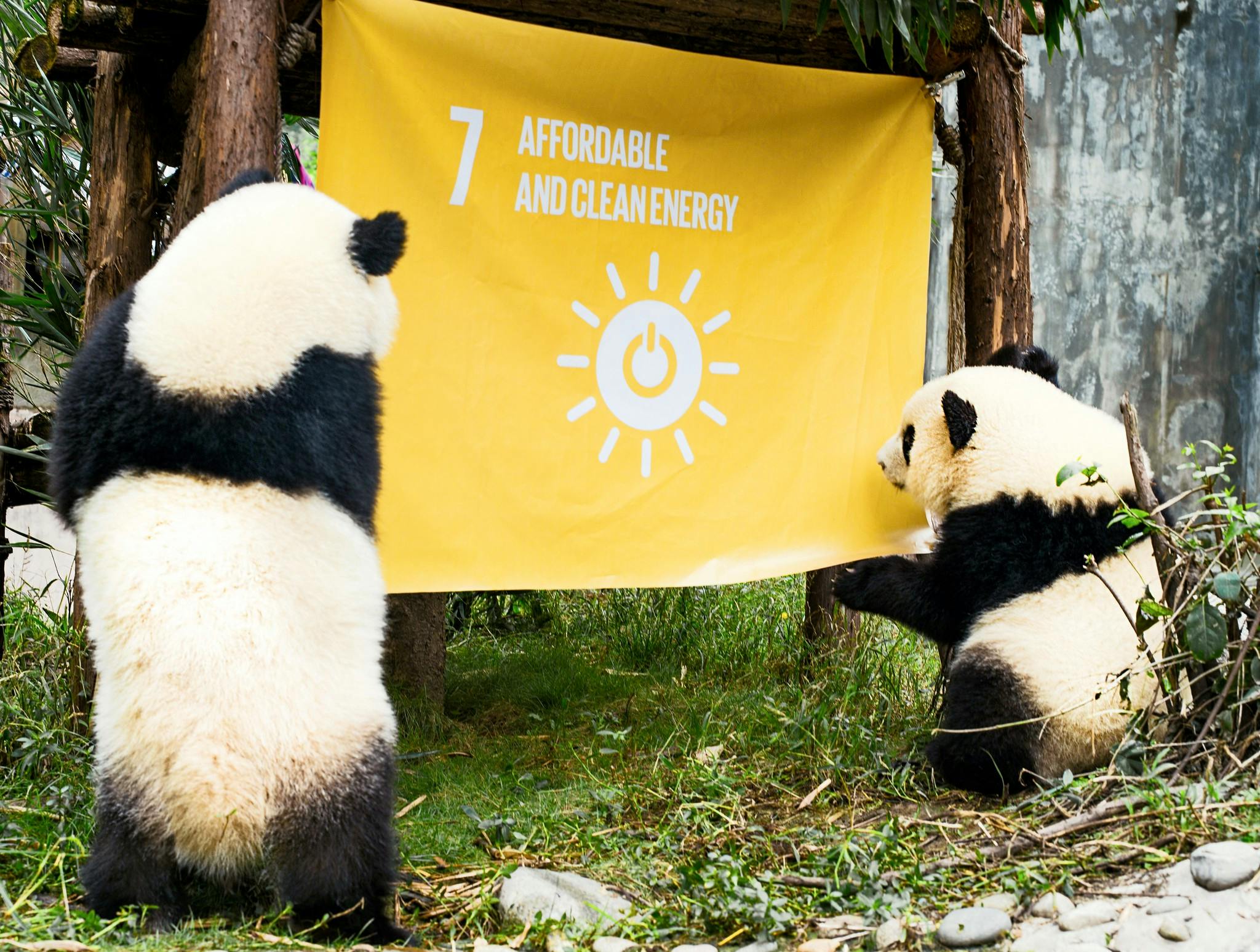 Panda_Sustainable_Goals_Chengdu