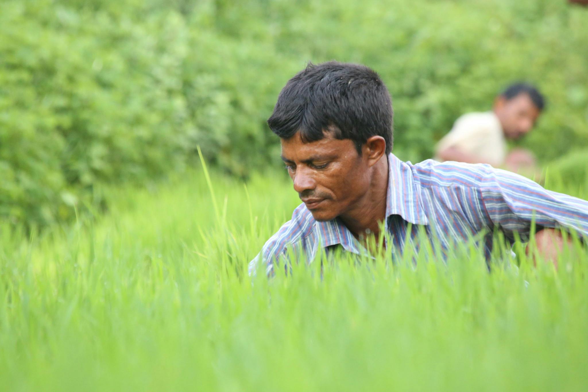 A farmer in India.